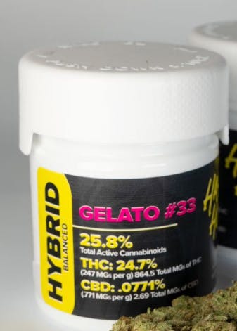 Hastag Honey | Gelato #33 3.5G Flower