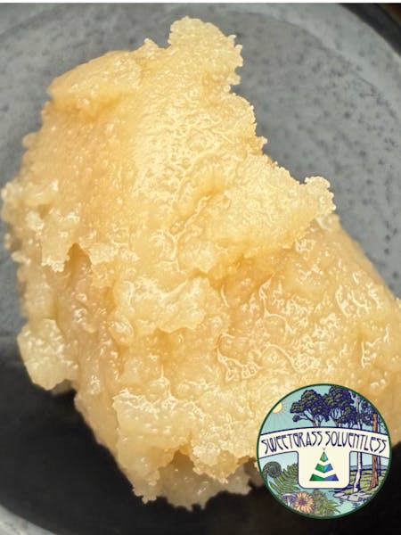 Glue Dream (I) - 1g Live Rosin - Sweetgrass Solventless