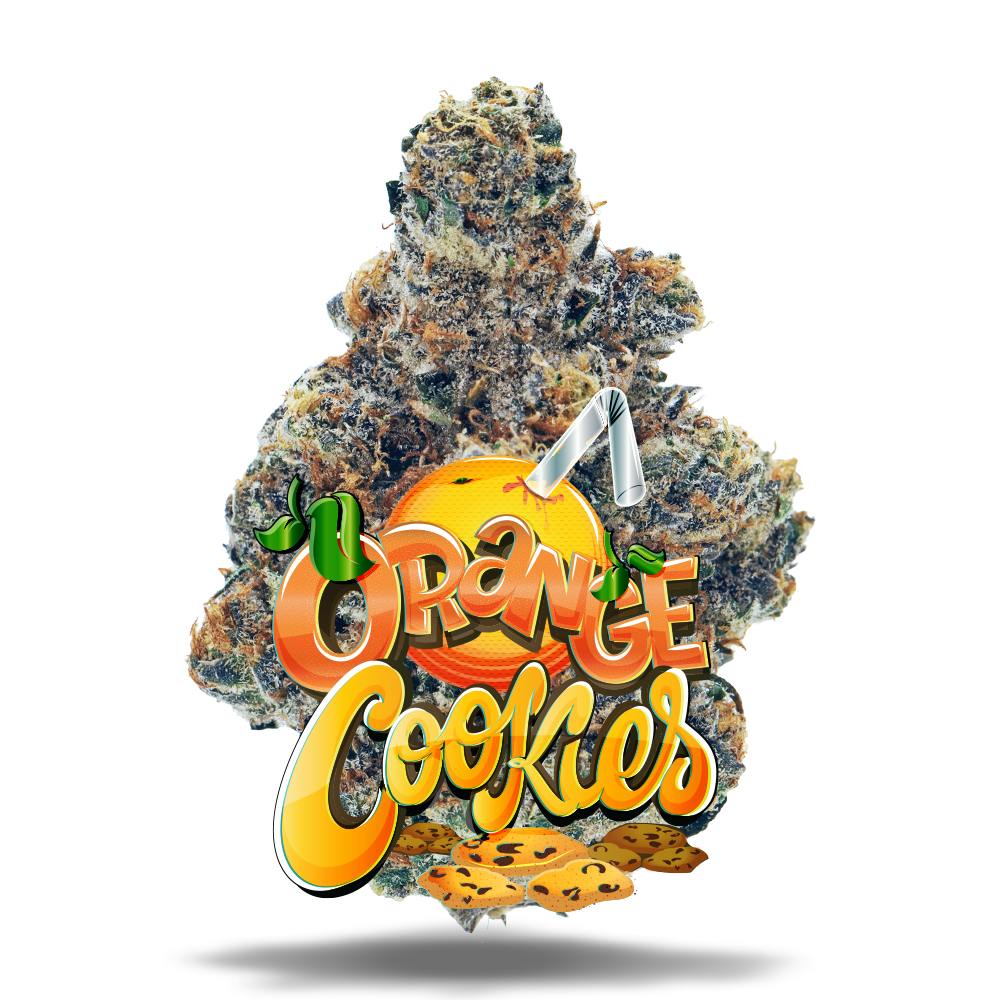 Shop Orange Cookies - Premium Flower in St. Petersburg | Jungle Boys