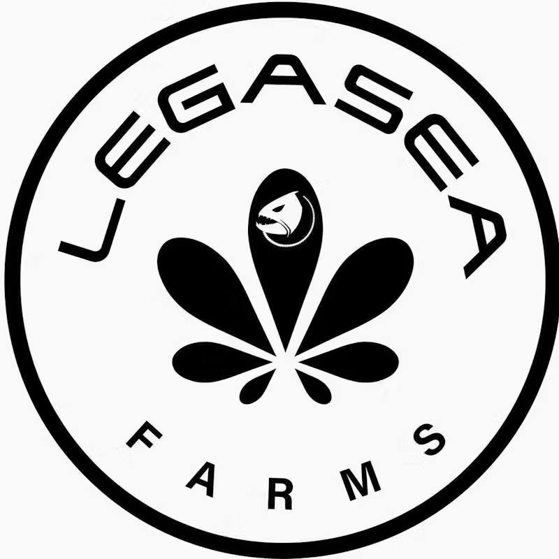 Legasea - 14g Prepack Jar - Galactic Warheadz