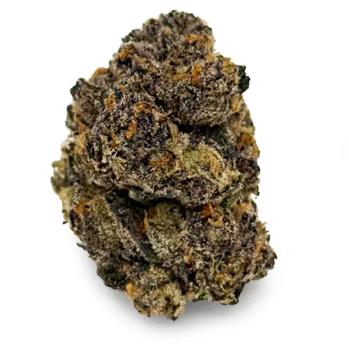 Minntz – Blue Magic-active