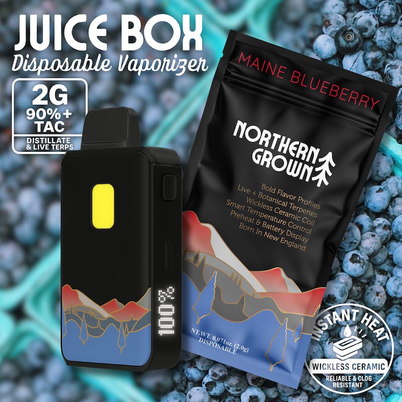 Product Northern Grown - Maine Blueberry Juice Box Disposable Vape (2g)