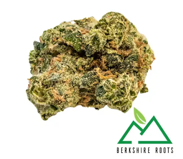 Snowdog (SH) | 28g | Flower | 23.28% | Terps: 3.11%