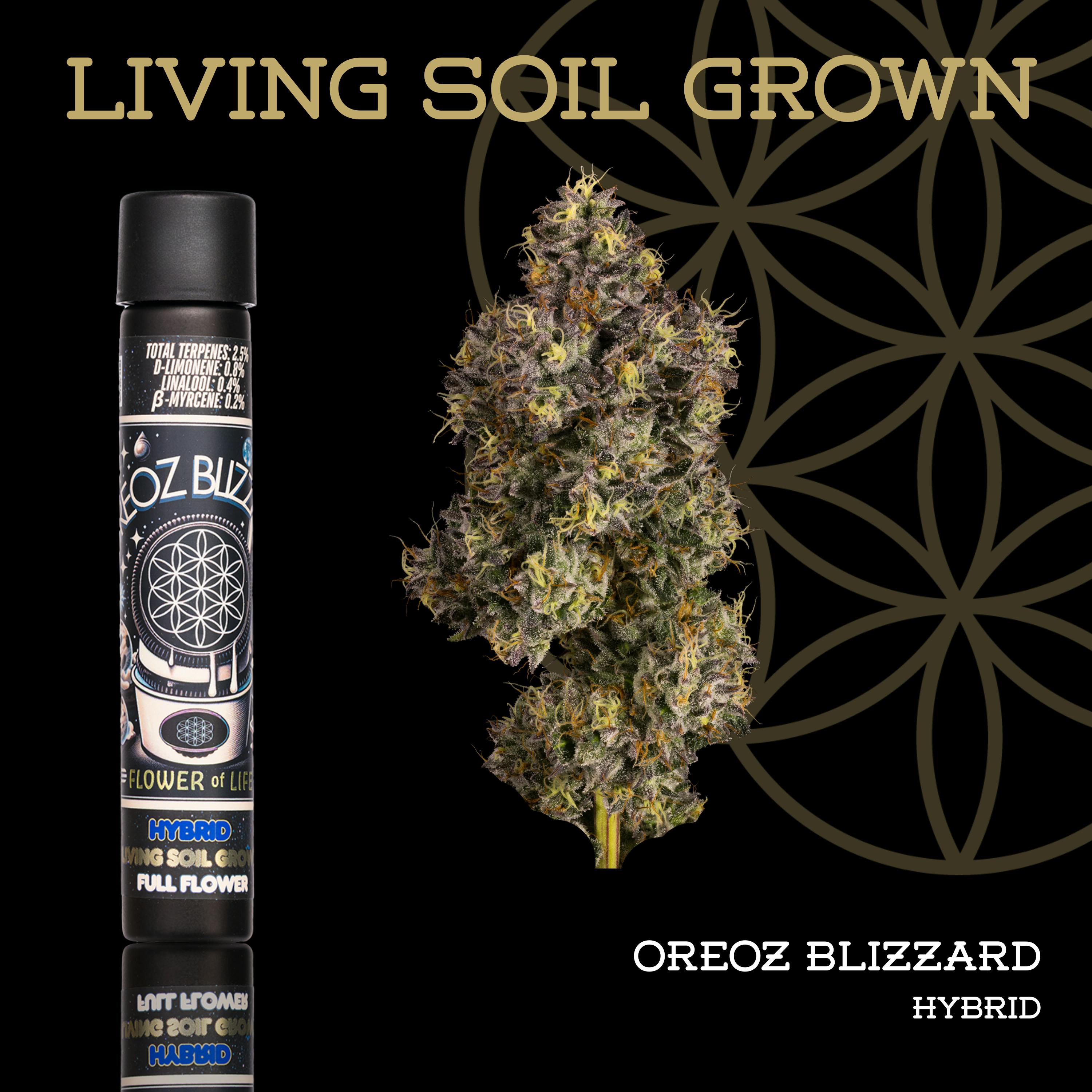 Product: Flower of Life | Living Soil | Oreoz Blizzard | Pre-Roll | 1g
