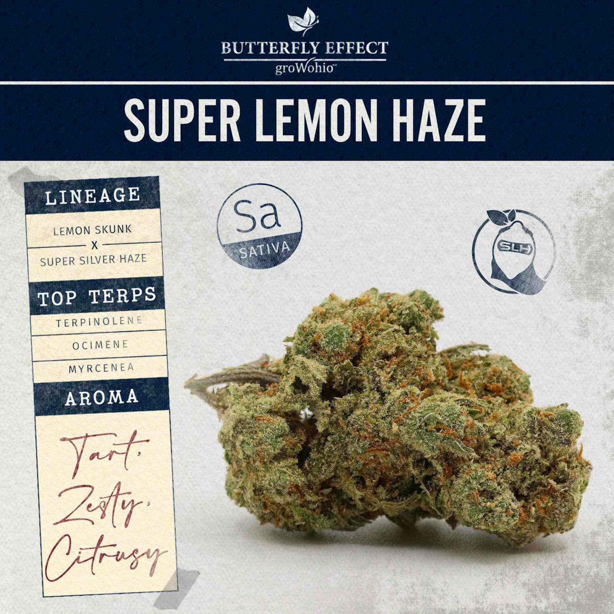 image of Super Lemon Haze