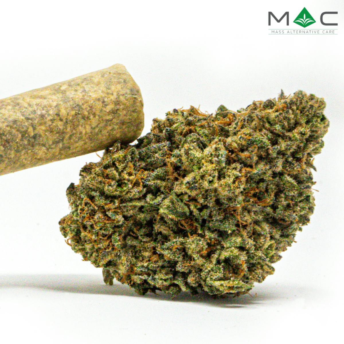 Earthbender | Pre-Roll