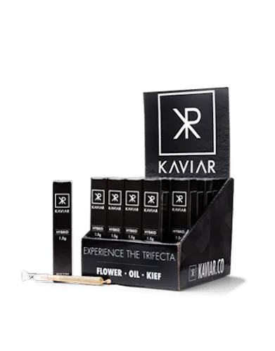 Curio Kaviar Hybrid Infused Pre-Roll-active