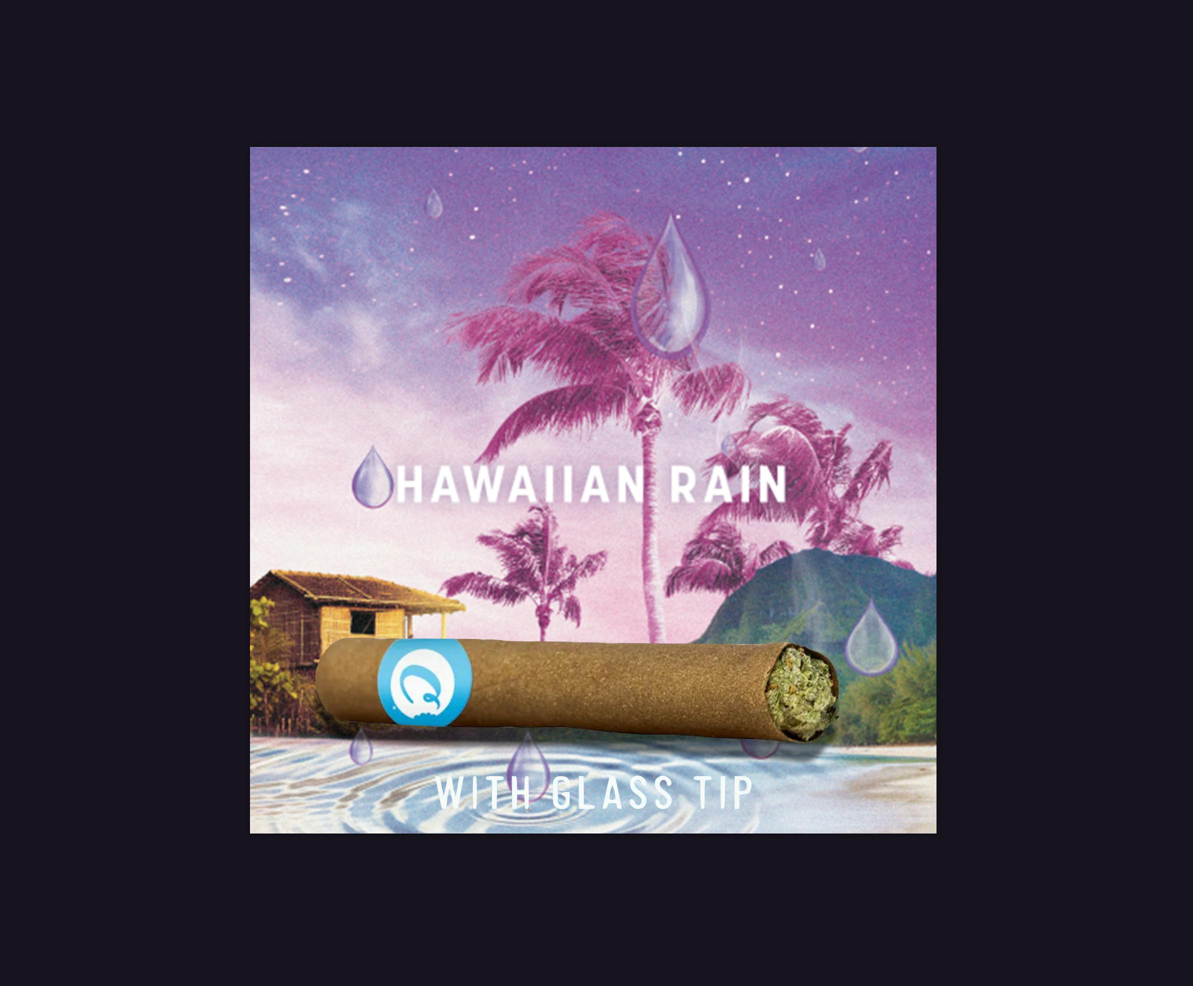 Cookies Blunt | Hawaiian Rain
