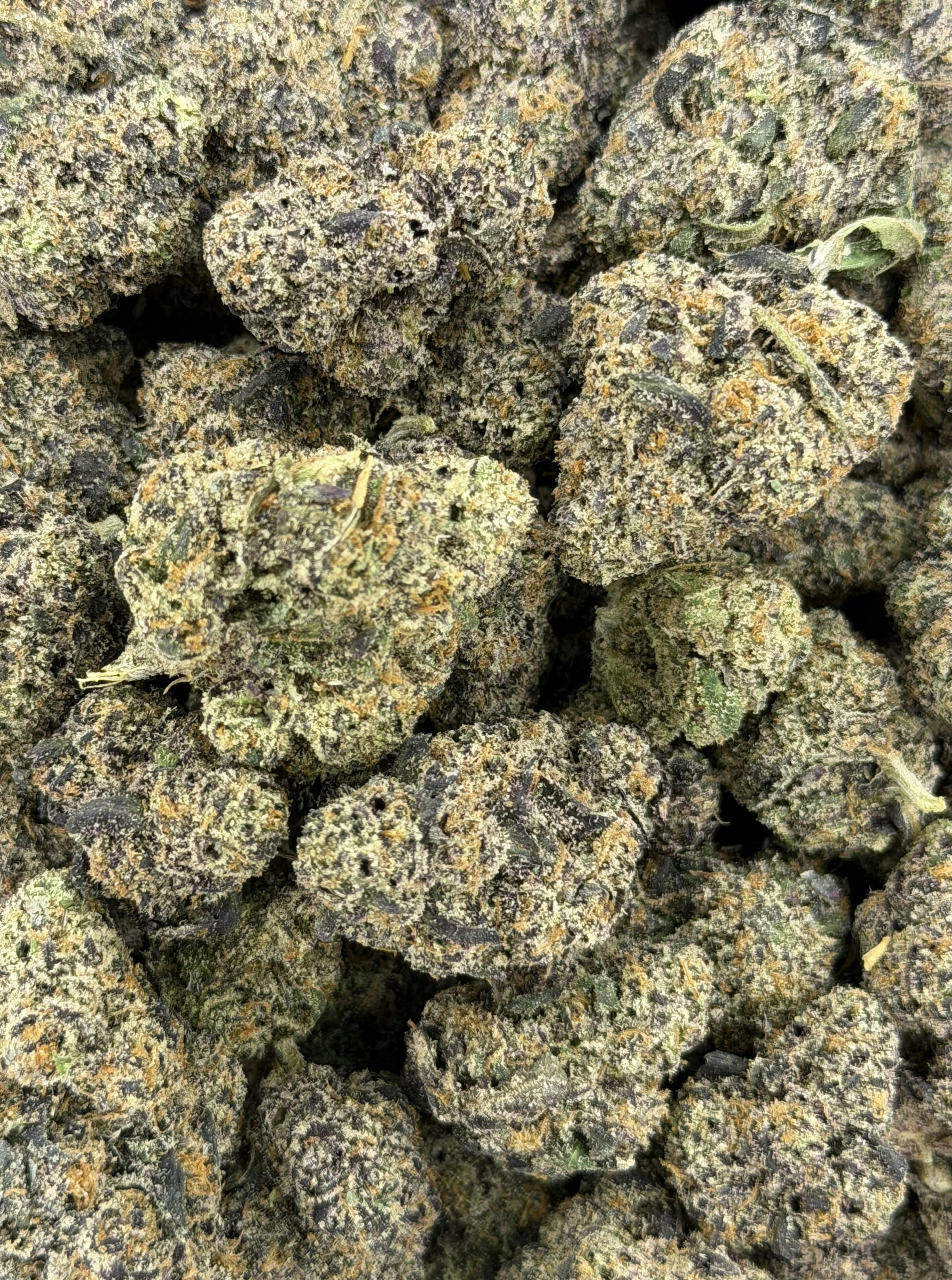 OO Runtz | Deli Flower (Gold)