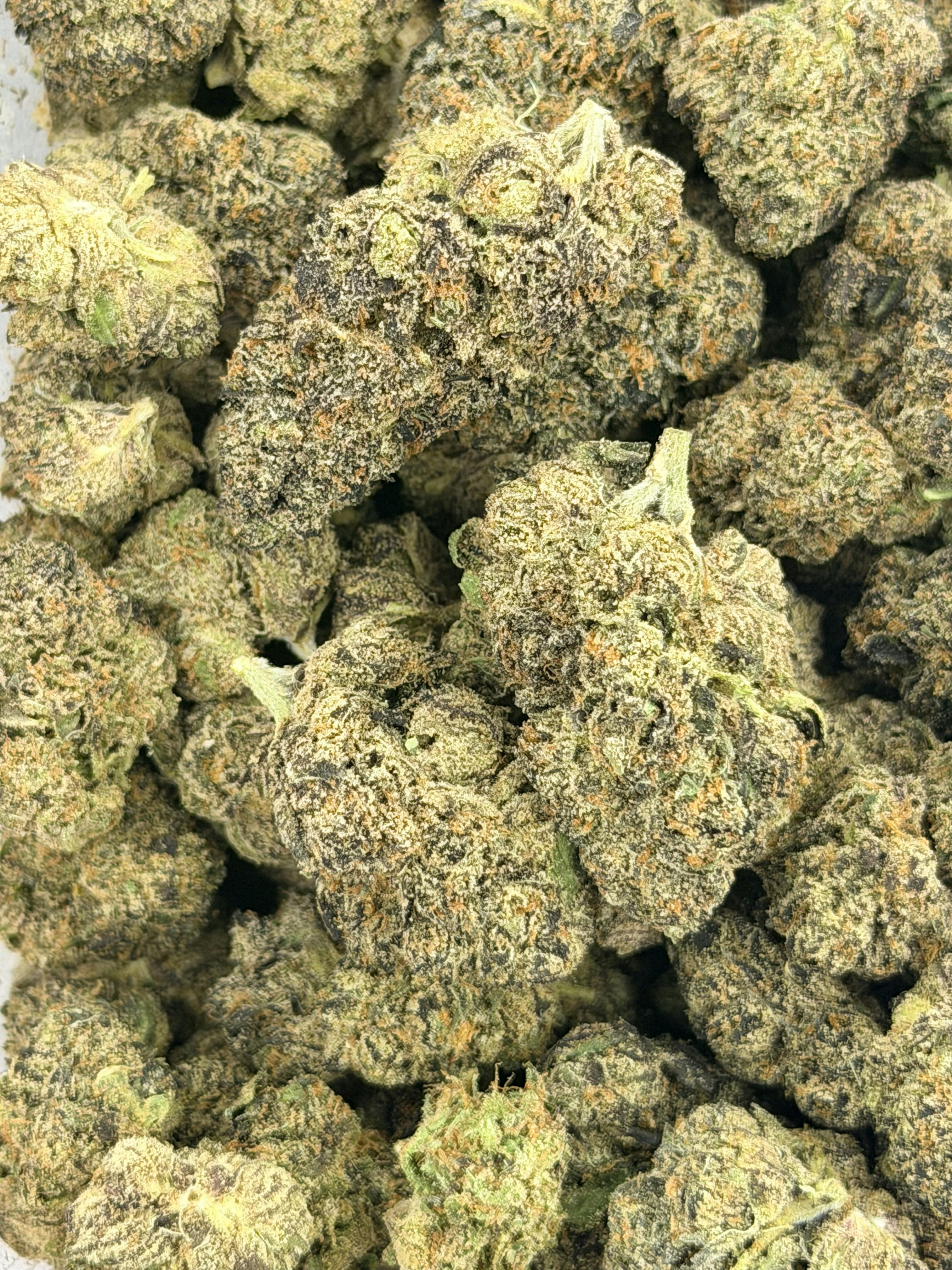 Gelato 41 | Deli Flower (Silver)