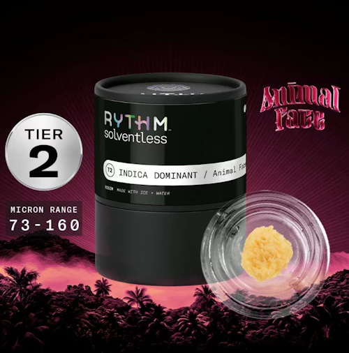 Rythm - 2g Live Rosin - Animal Face (Tier 2)