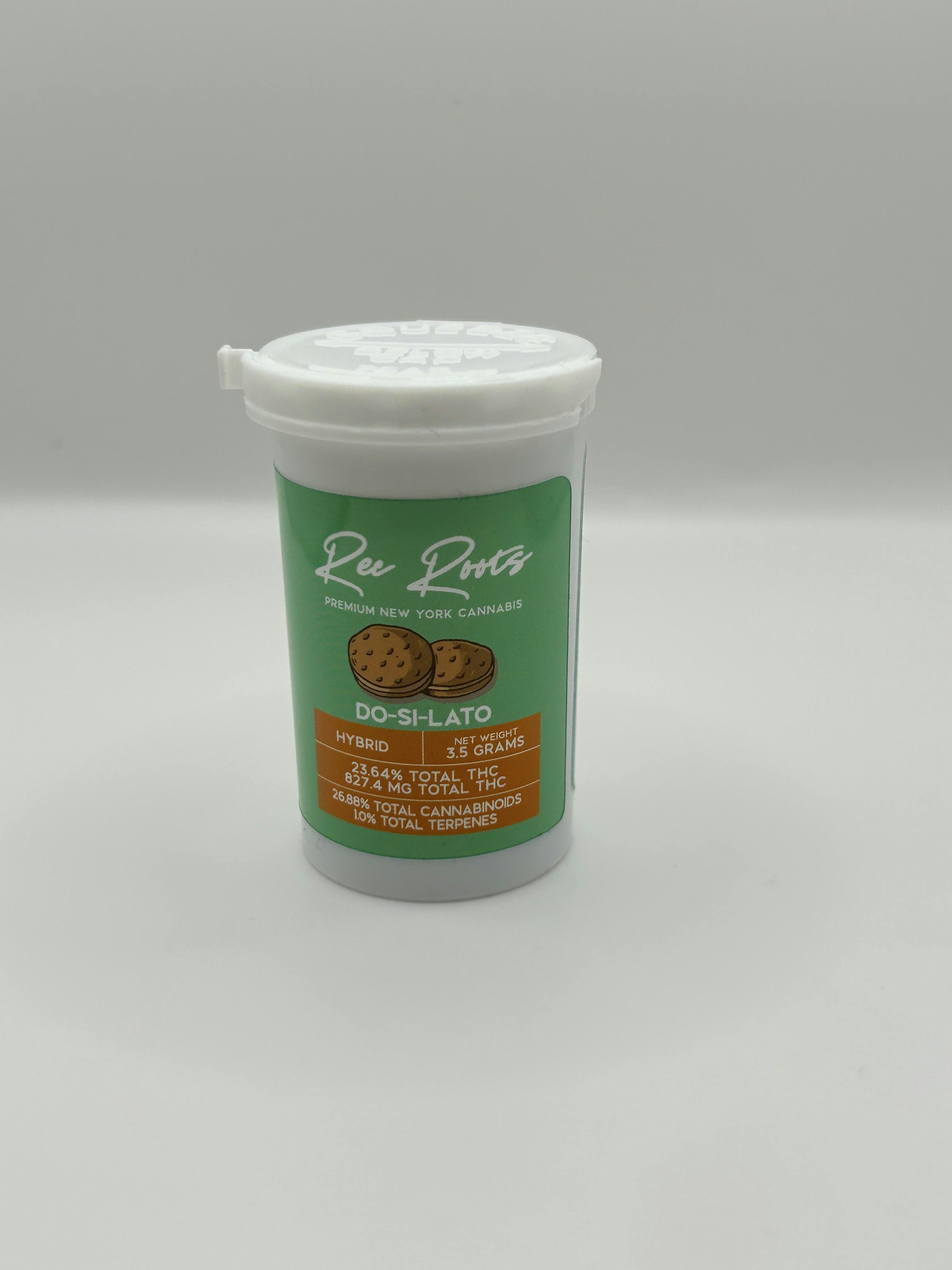 Photo of Rec Roots – Do-Si-Lato