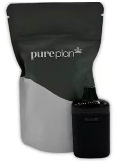 24k Gold Punch | Disposable