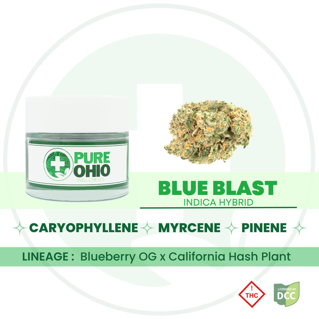 Pure Ohio Wellness Blue Blast