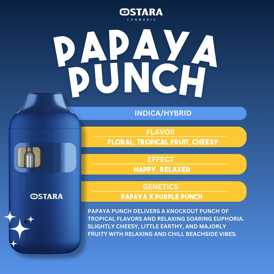 ostara disposable vape Stoner Stix 2G Disposable main image 0