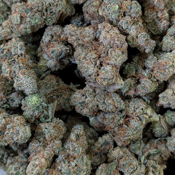 Chocolope (S) - Deli-Style Flower - Perpetual