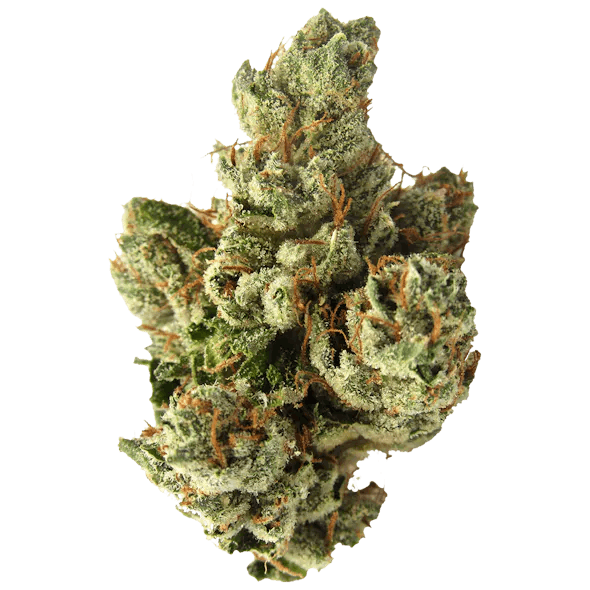 DaDa | SFV OG | 3.5g (Premium Cannabis)