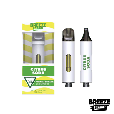 order flum pebble online Flum Pebble Flavors