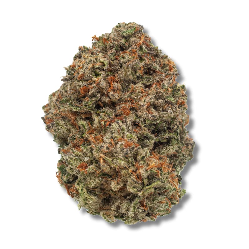 Product Tree's Co. - Eager Beaver Flower (3.5g)