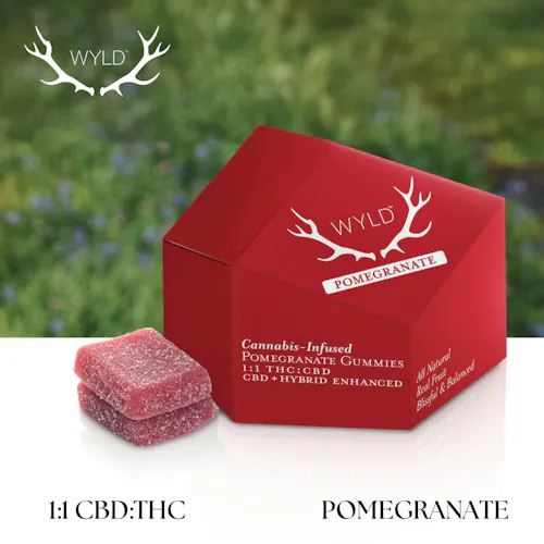Pomegranate 1:1 CBD + Hybrid Enhanced Gummies-1