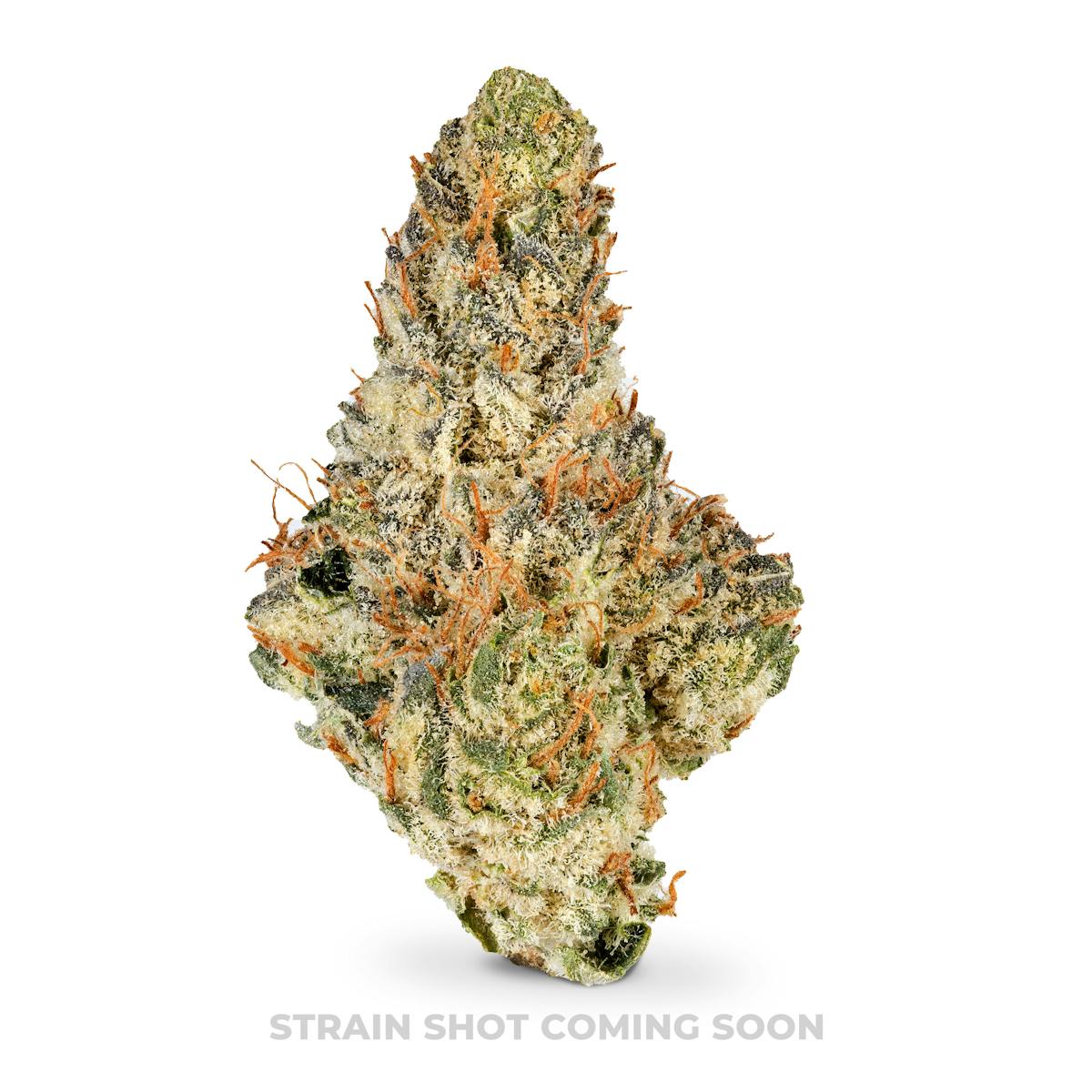 Photo of Cherry Banger
