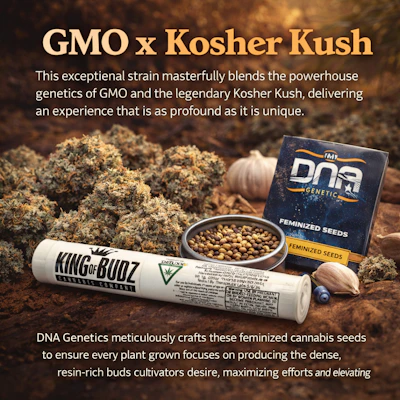 KOB - 1g Preroll - GMO Kosher