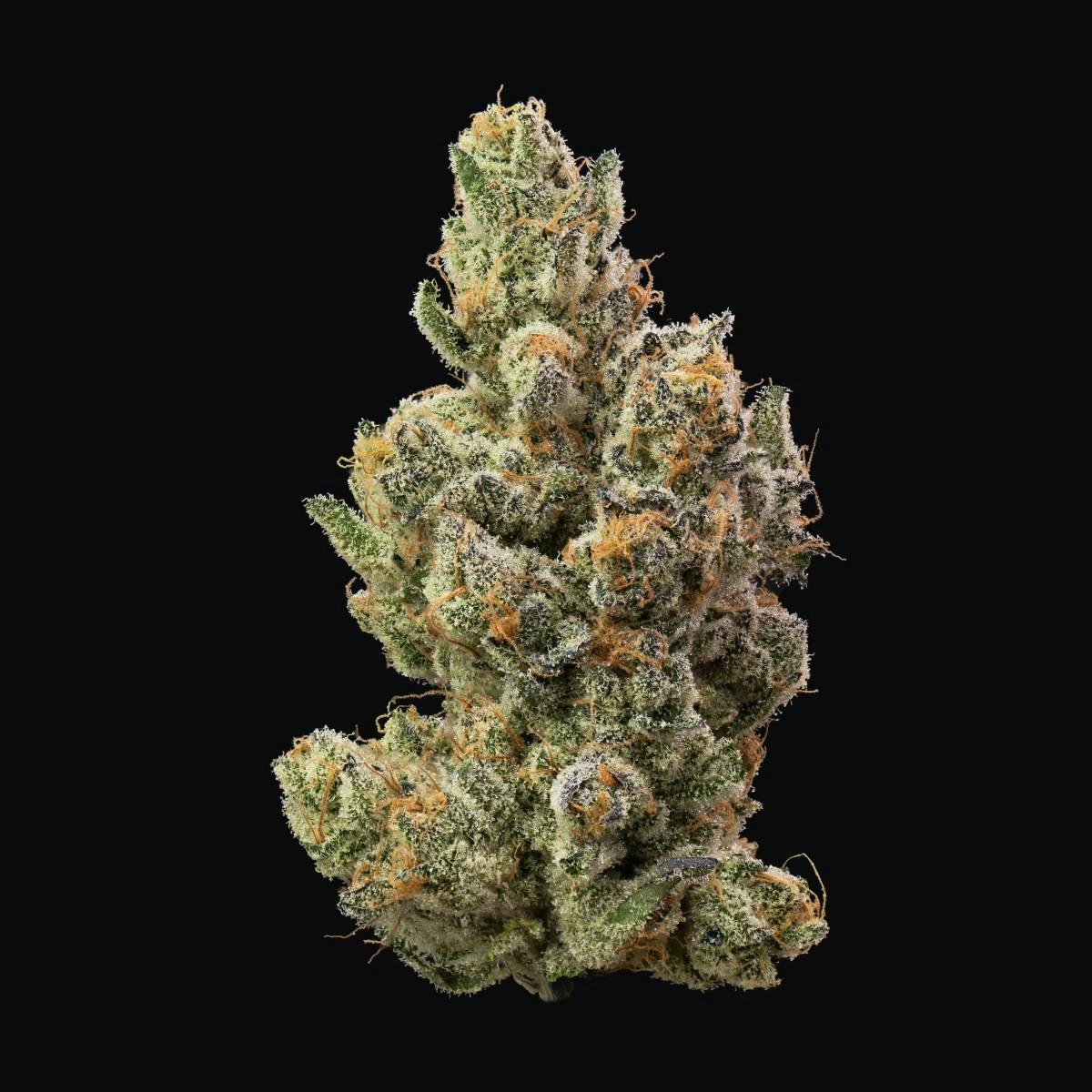 Product Gypsie Road | Flower | 14g