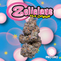 Zelicious 1g Pre-Roll - product image at King of Budz