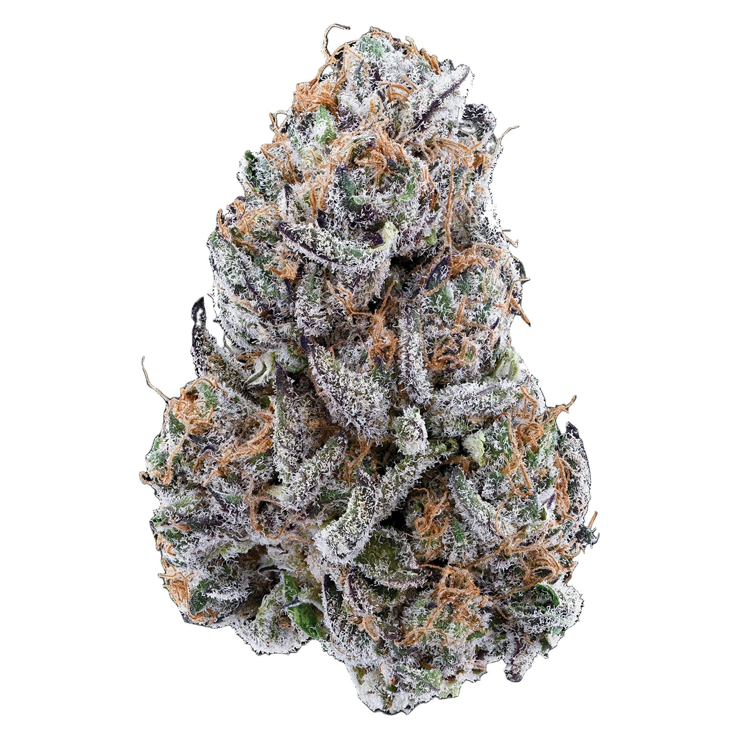 邦楽 DJ MARIJUANA a.k.a. febb YAKUBUTU SOUL 3 Nugz - Hybrid (Neon Sunshine Pheno #78) | Bluebird Cannabis
