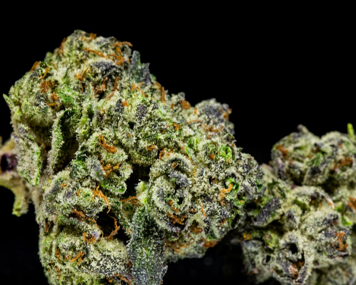 Photo of Gold Shelf – Lilac Diesel (S)