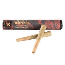 Product Governmint Oasis | Infused 2pk