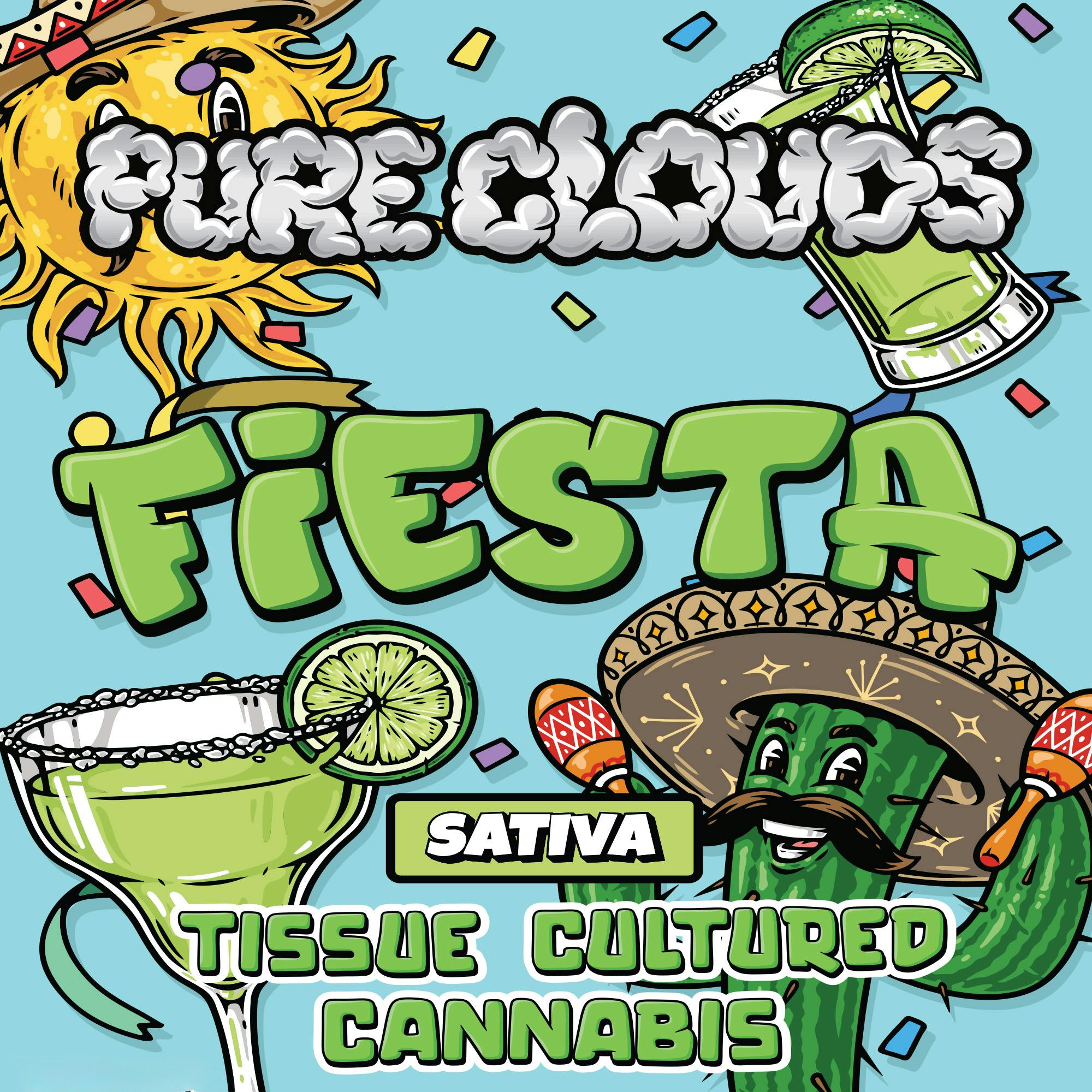 DELI - Fiesta