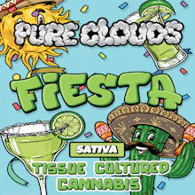 DELI - Fiesta (Smalls)