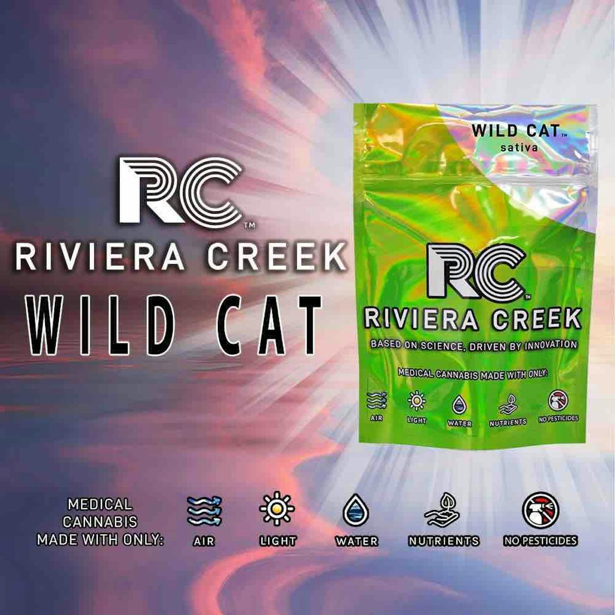 Photo of Wild Cat