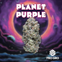 Planet Purple 1g Pre-Roll - product image at King of Budz
