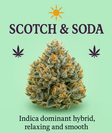 West Orange Farms - Scotch and Soda