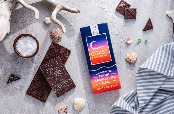 Dark Chocolate Sea Salt Bar (H) (100 MG) - Coast Cannabis