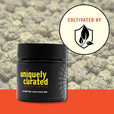 Southie Adams - United Cult | Cannabis Dispensary in Massachusetts
