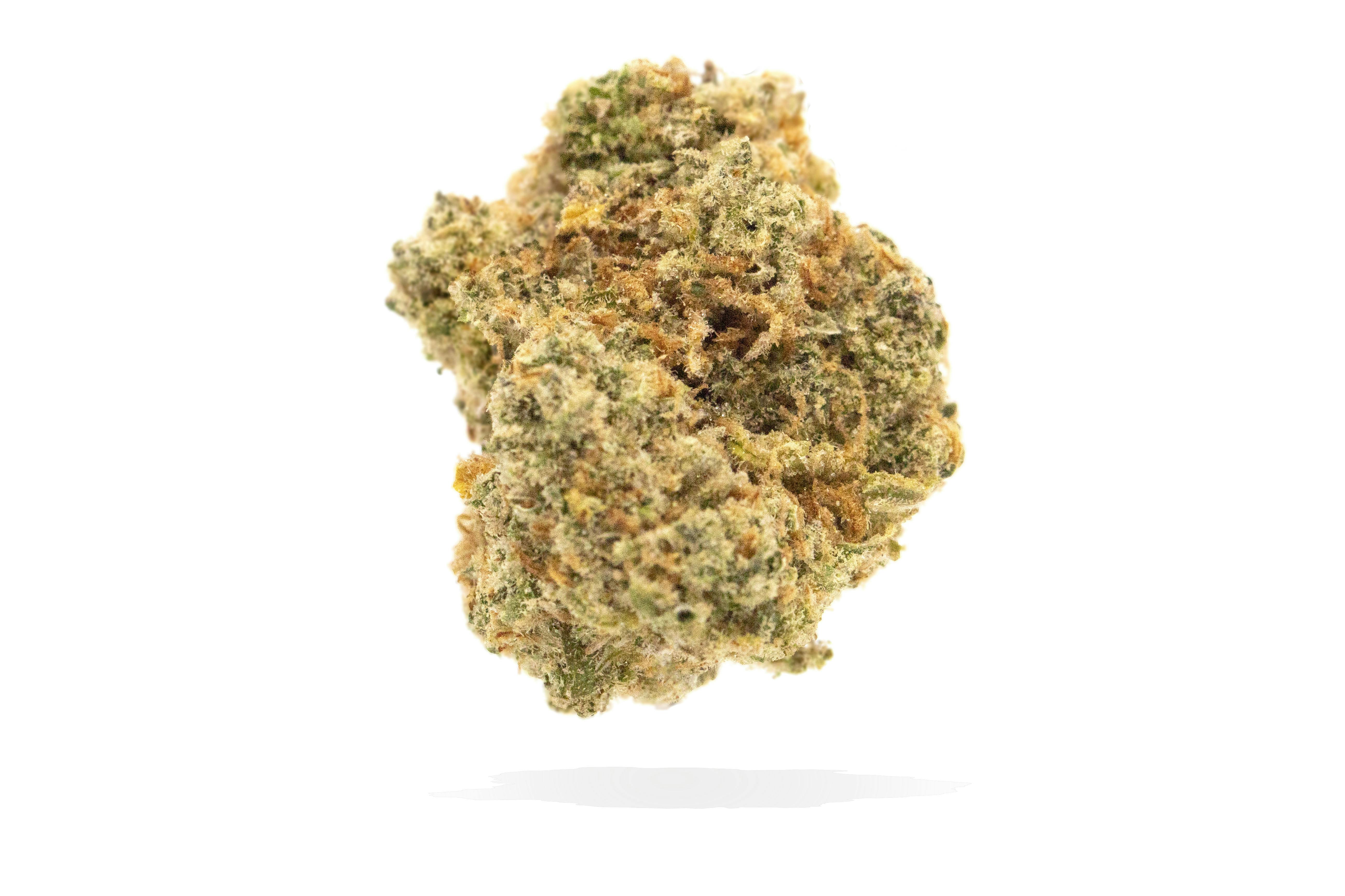 Mighty Fine | Certified Organic Jack Herer | 7g | Buy any ONE Mighty Fine Qtr, Receive ONE FREE Mighty Fine Select PRJ's