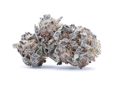 Product: GNG + | Black Panther | Flower - 3.5g