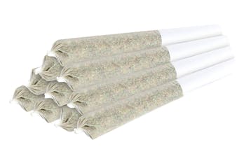 Infused Wax Worms 10 Pack - White