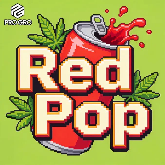 DELI - Pro Gro - Red Pop
