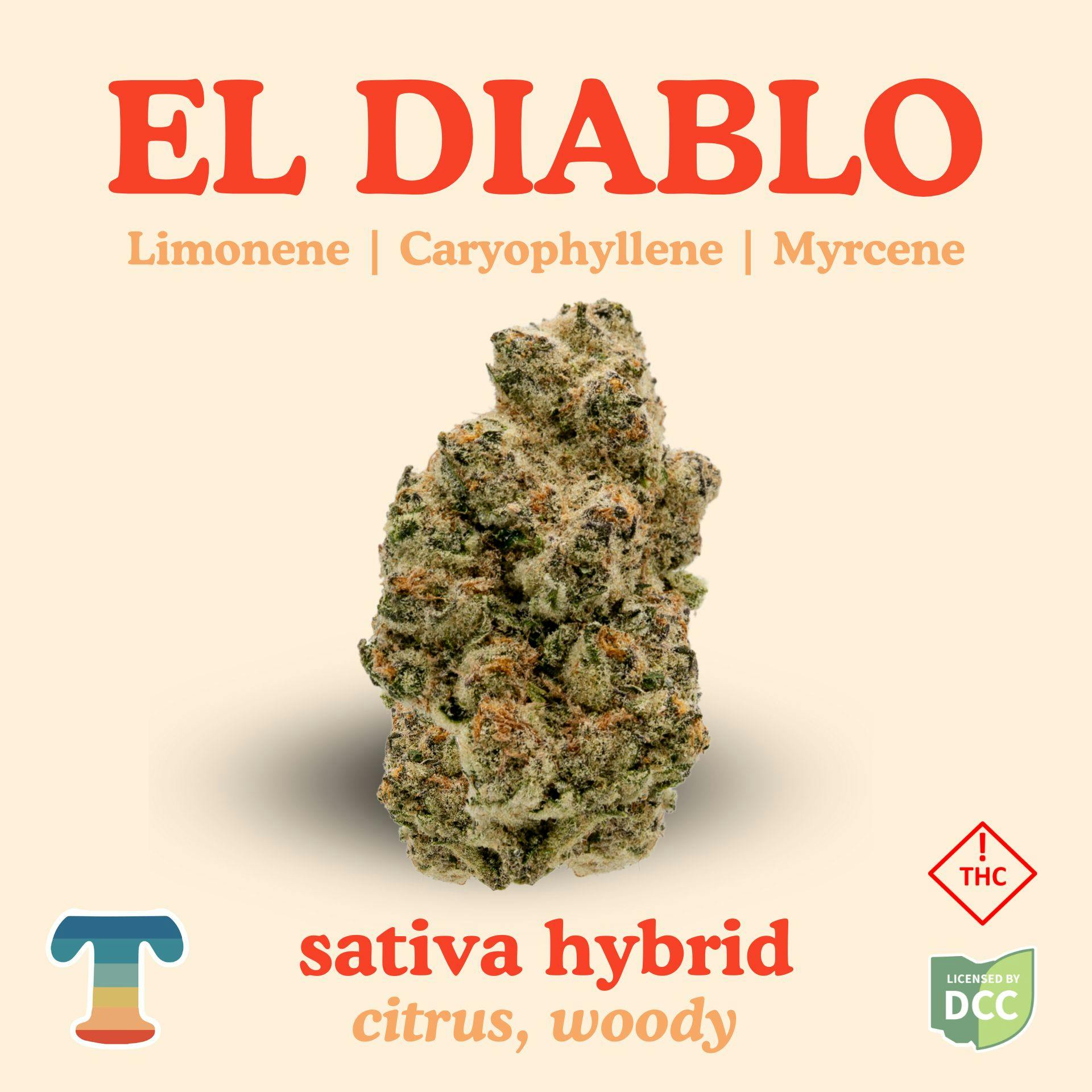 El Diablo | Flower 2.83g | Backroad Wellness - New Boston