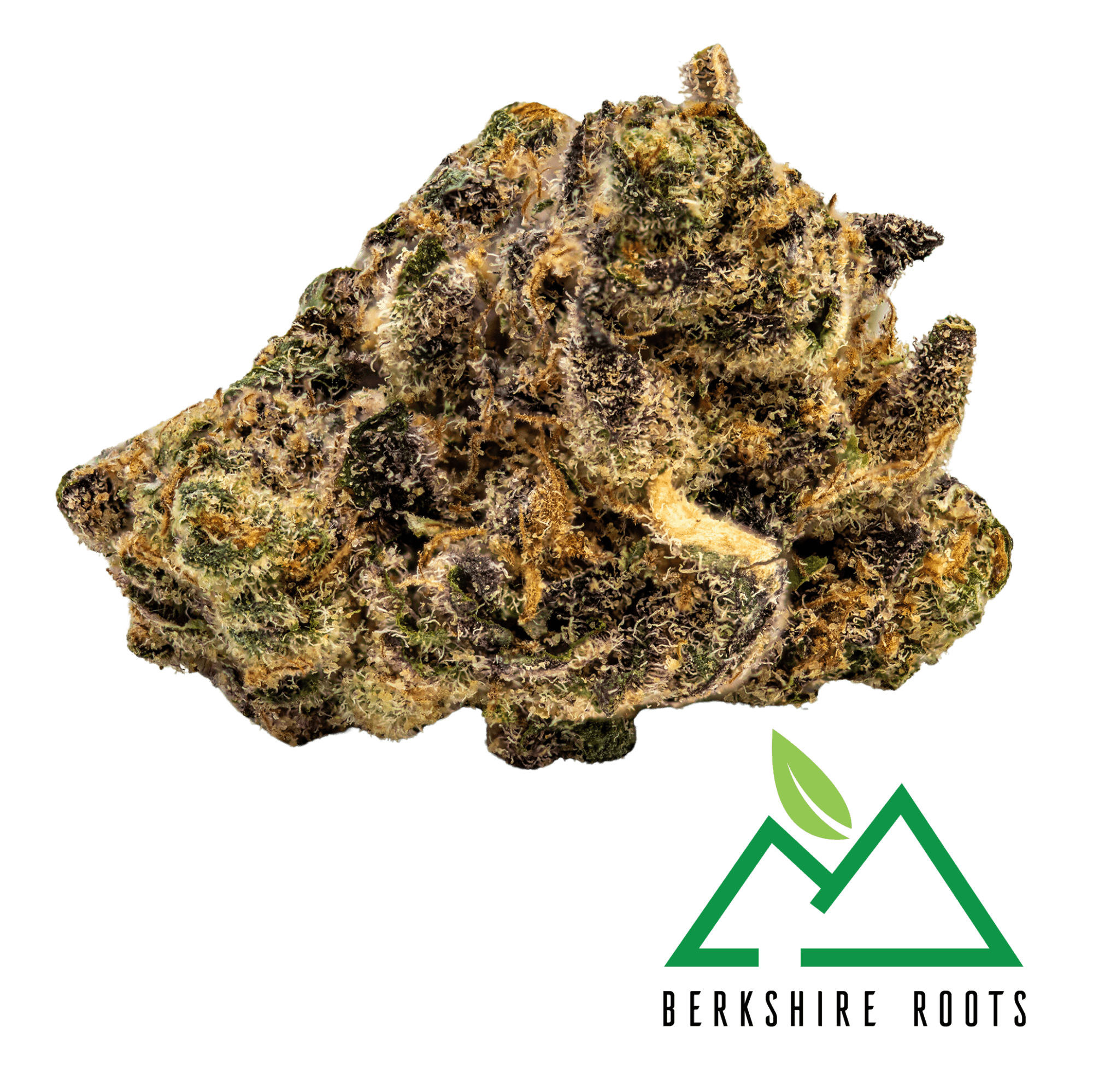 Product Tropicanna Banana (S) | Flower | 28g