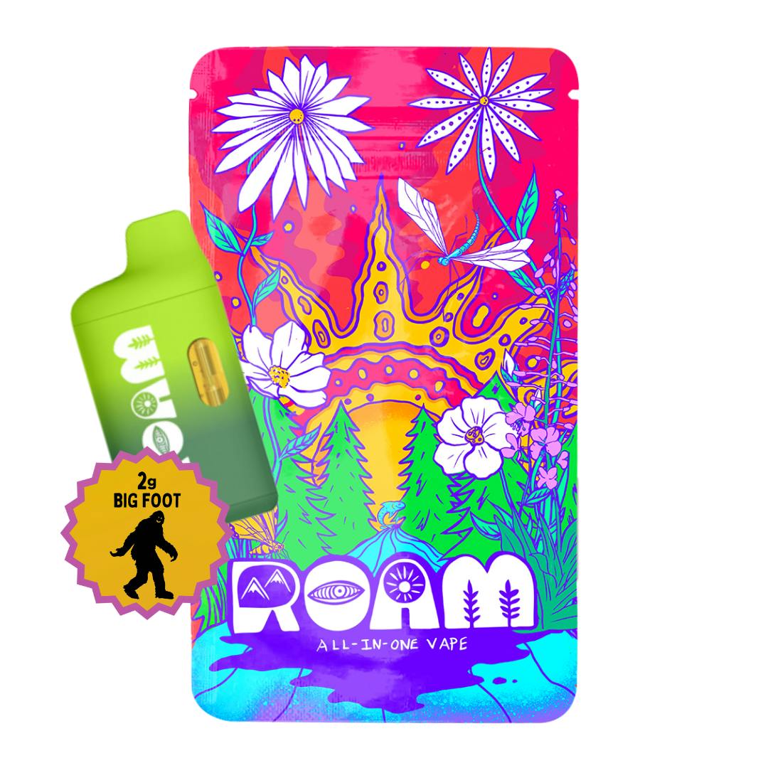 Shop Cannect Wellness- ROAM Disposable Pen Creme Brulee | 2g