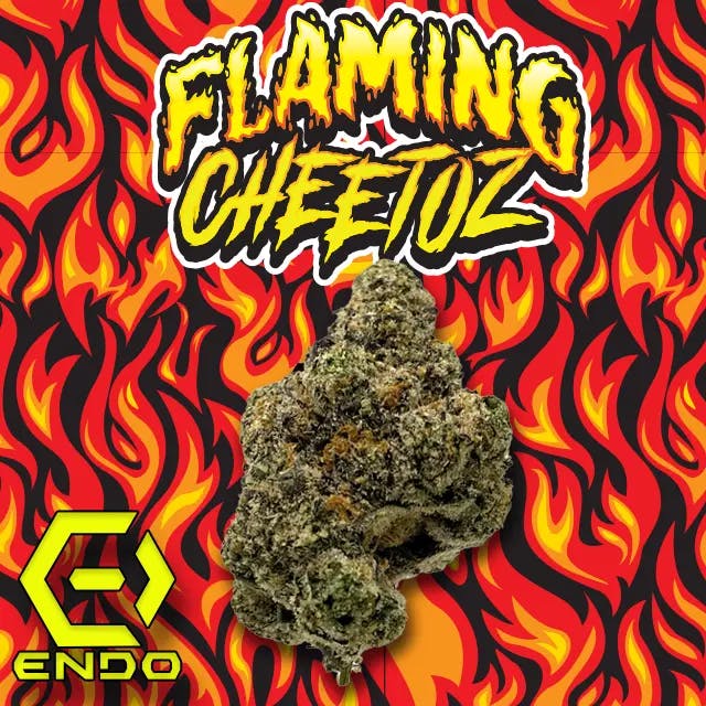 Flaming Cheetoz | Endo