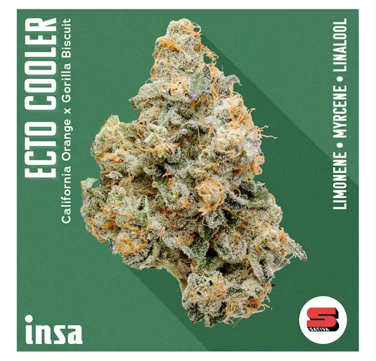 Image of Ecto Cooler | 3.5g Flower