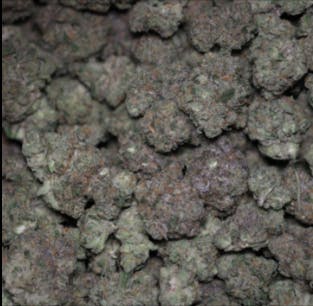 Banana Jelly | Orbit