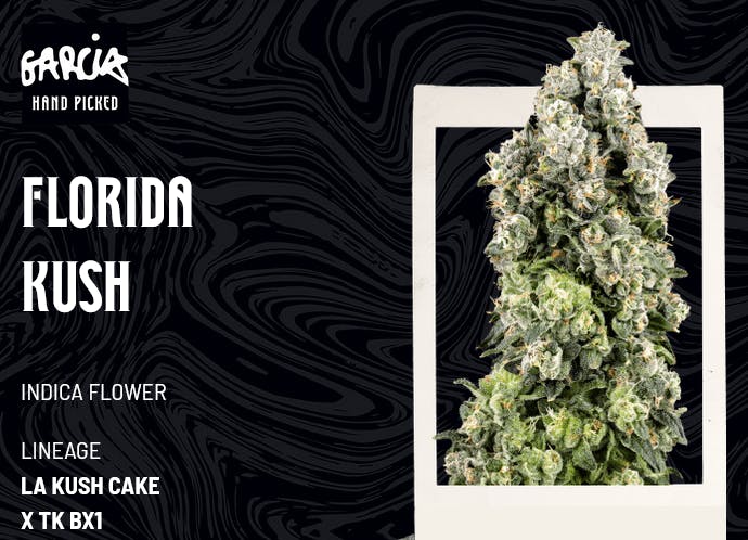 Garcia Hand Picked | Bulk Bud - Florida Kush