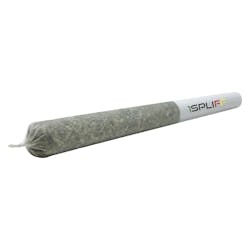 Pre-Roll | 1Spliff - Pink Lemonade - Hybrid - 10x0.35g